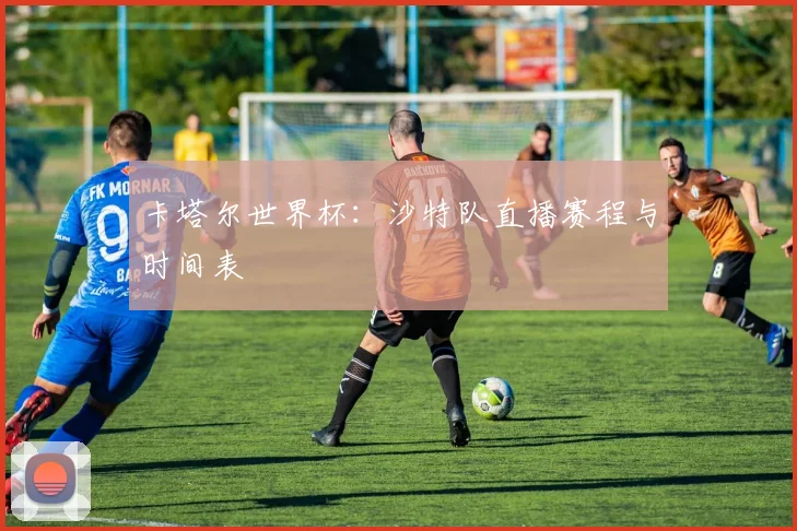 卡塔尔世界杯:沙特队直播赛程与时间表