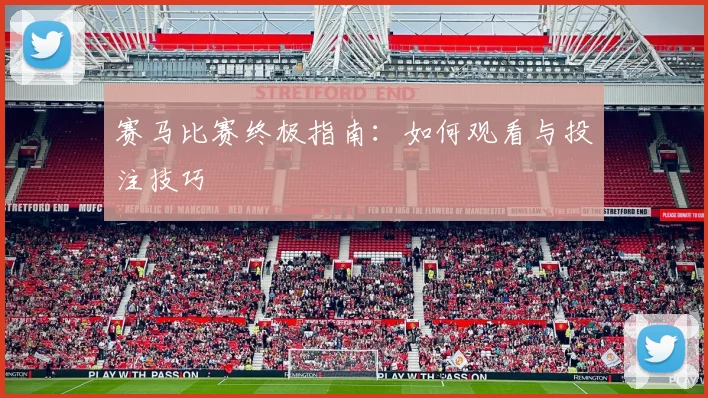 赛马比赛终极指南：如何观看与投注技巧